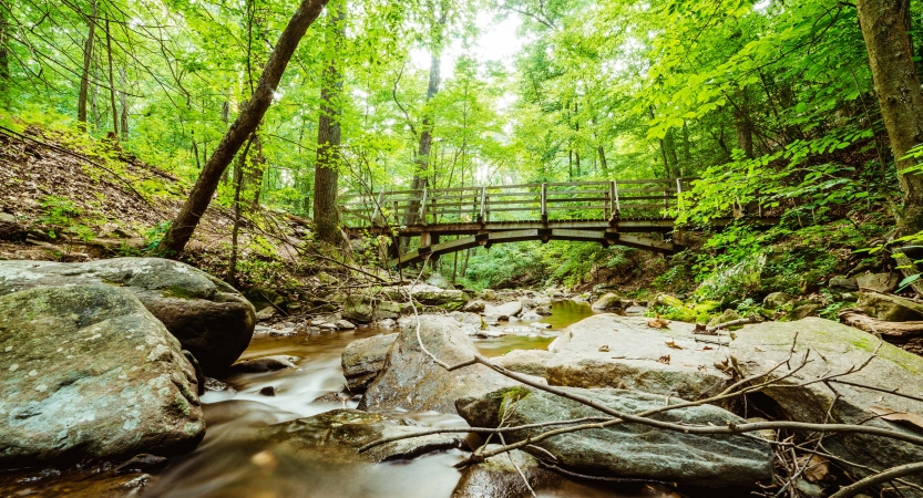 A creek framed by boulders passes through a green wooded area. There is a bridge in the background. 